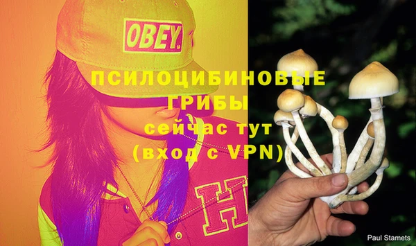 гашик Баксан