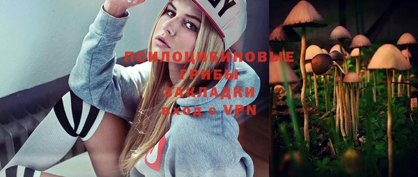 метадон Богданович