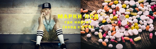 метадон Богданович