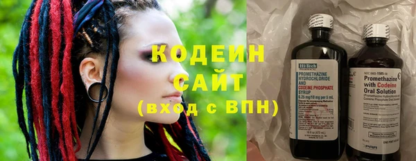 метадон Богданович